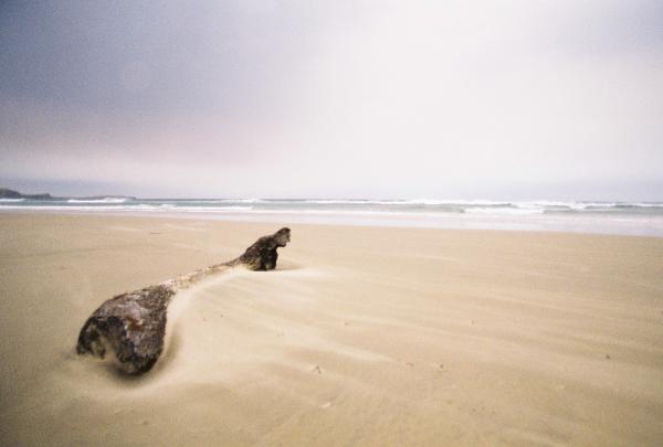 NewZealand Nikon-Fe2 NPH-400
